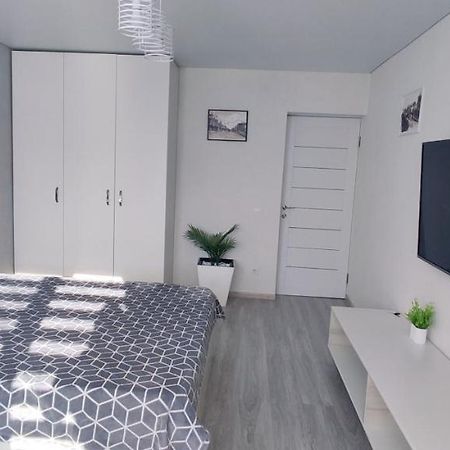 Large Apartment Near The Airport And City Center キシナウ エクステリア 写真