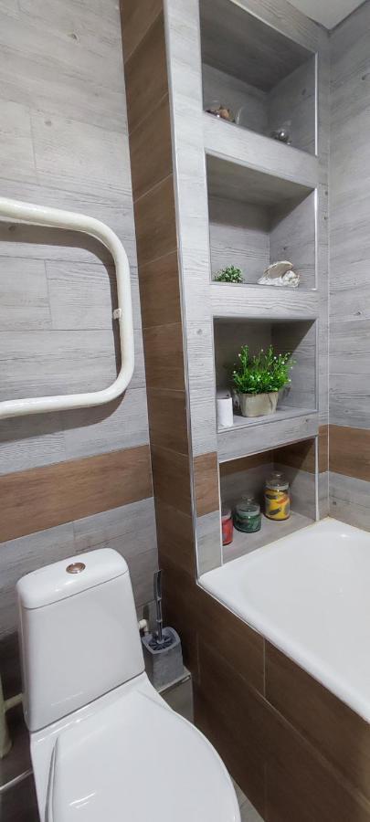 Large Apartment Near The Airport And City Center キシナウ エクステリア 写真