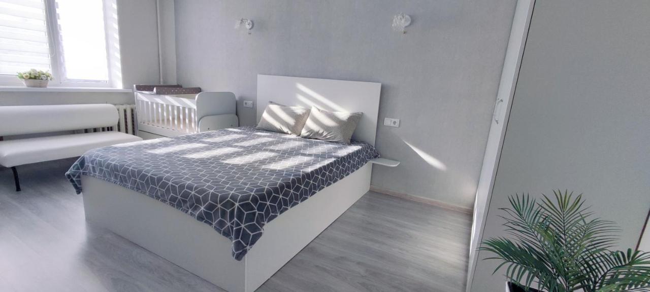 Large Apartment Near The Airport And City Center キシナウ エクステリア 写真